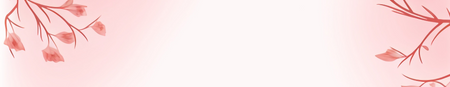 Soft Pink Flowers Background