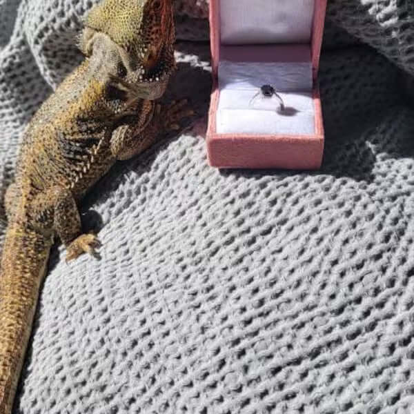 OMG! Where do I begin? First and foremost thank you to Jay! You did such a wonderful job! The ring is gorgeous!!! My son originally purchased a custom ring a few months ago. Somehow they never began production till 3 weeks ago. My son is deploying on the first and will be gone for the next year 1/2 and had an engagement planned after the Marine ball next week (oorah!) There was no way it was going to ready on time so I had come onto Etsy because I've been following Jay's work. There are some pieces I'd like to purchase myself. So I contacted Jay , explained our situation and he came thru on such short notice w this custom ring. It is SO so beautiful. She will love it. The ordering process was easy. Jay consistently stayed in communication throughout the process. I cannot thank you enough Jay! Thank you!!! Proud Marine mom. 🫡