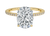 Avideri