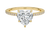 Avideri