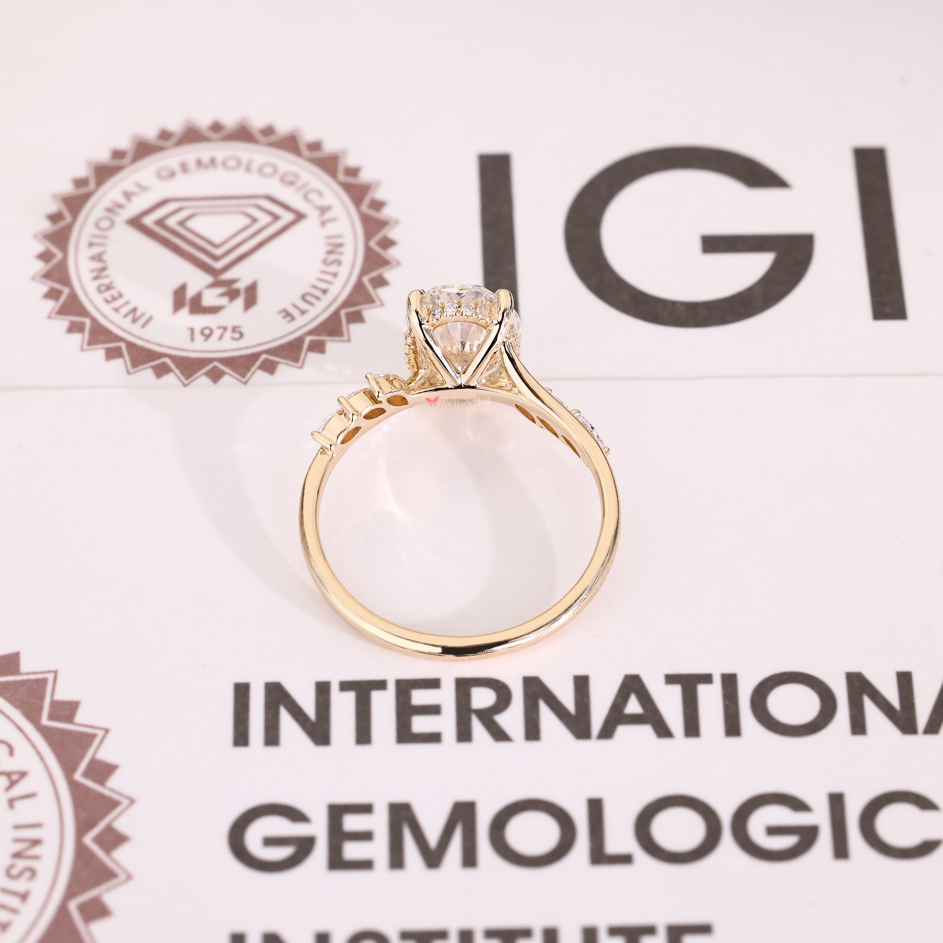 Oval diamond ring with round hidden halo and accents
