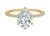 Avideri