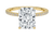 Avideri