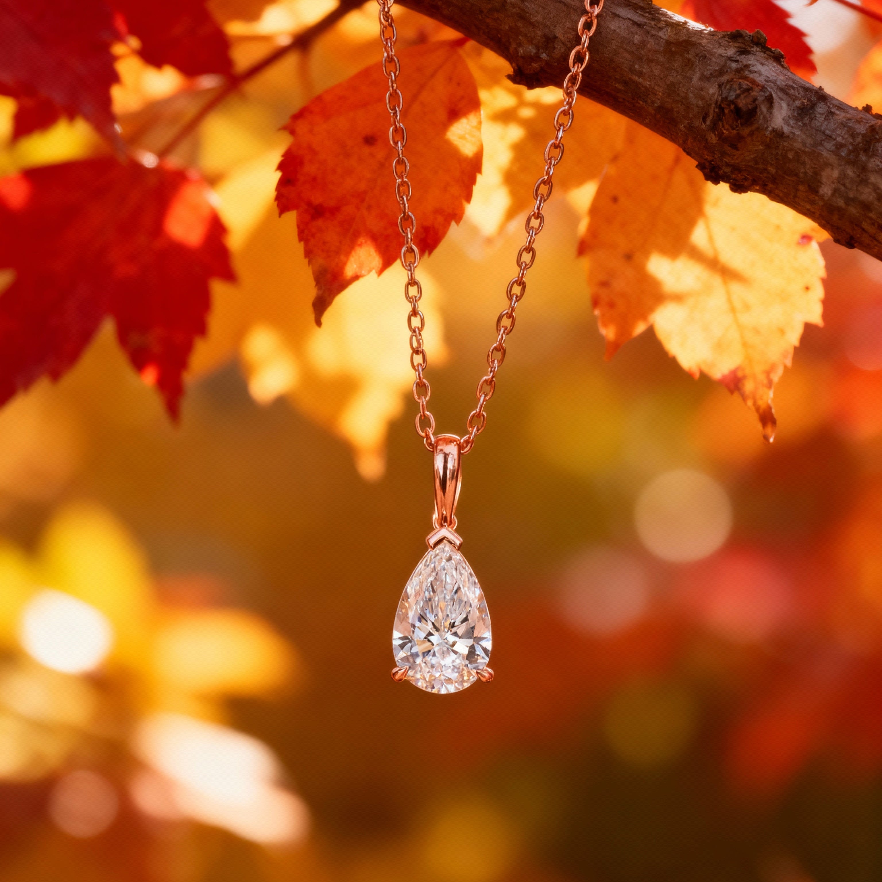 Diamond necklace hanging from a branch with autumn leaves