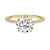 Avideri