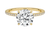 Avideri