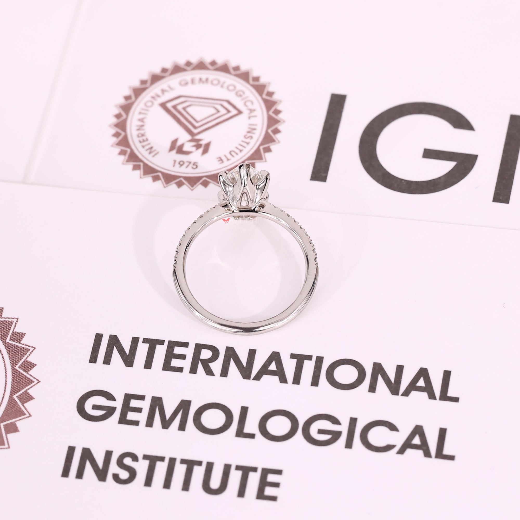 White gold diamond ring with round cut pave band.