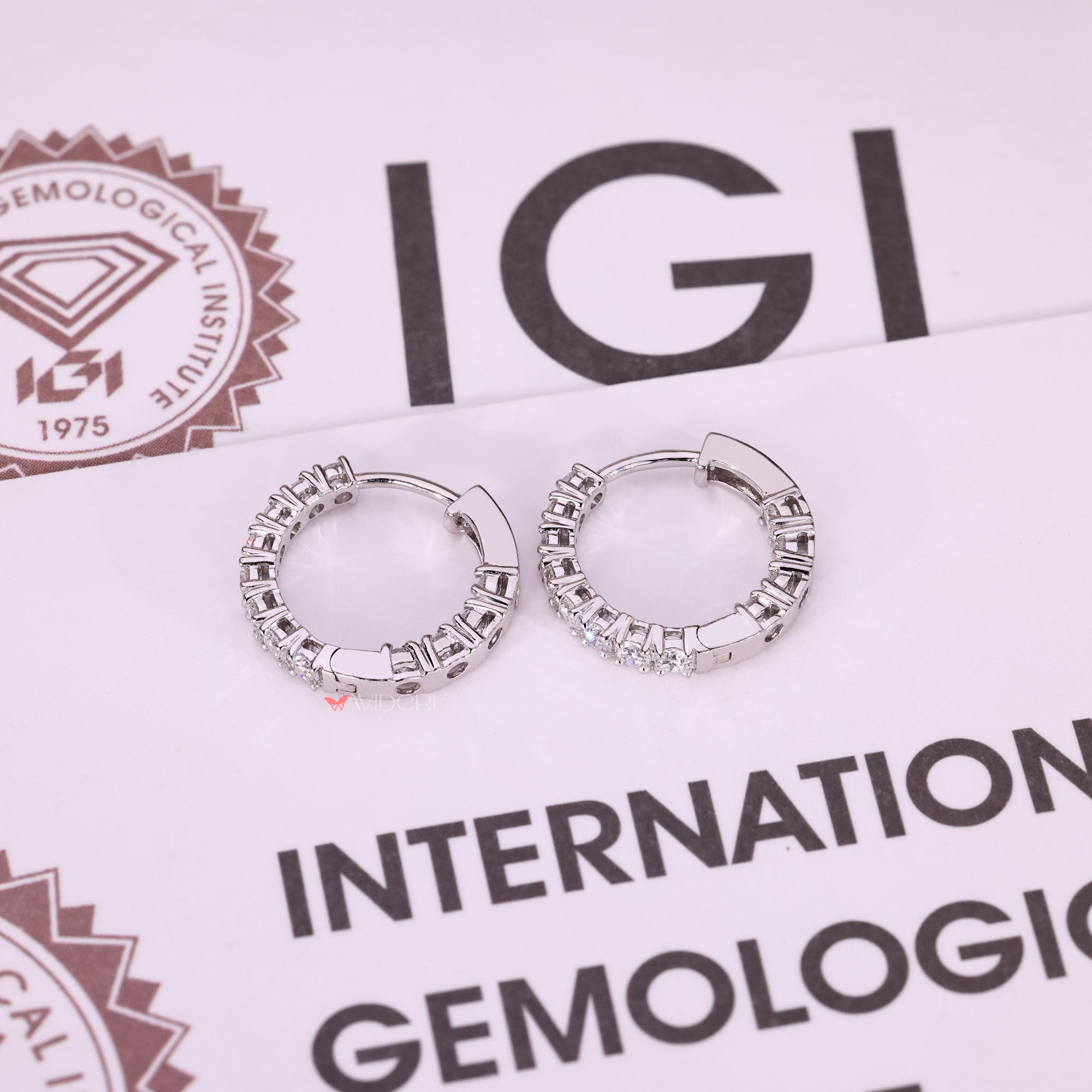 Round diamond earrings with clean white gold finish.