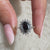 Oval Moissanite Engagement Ring - Cluster Halo
