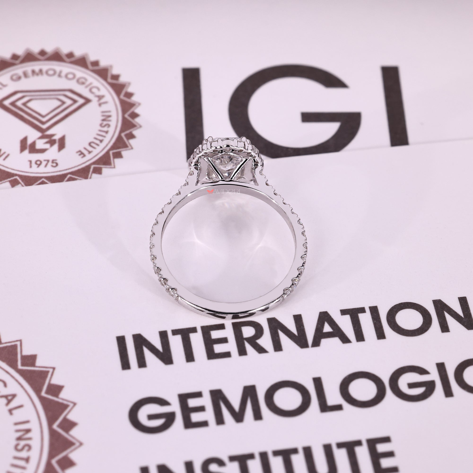 White gold engagement ring with round cut pave setting.