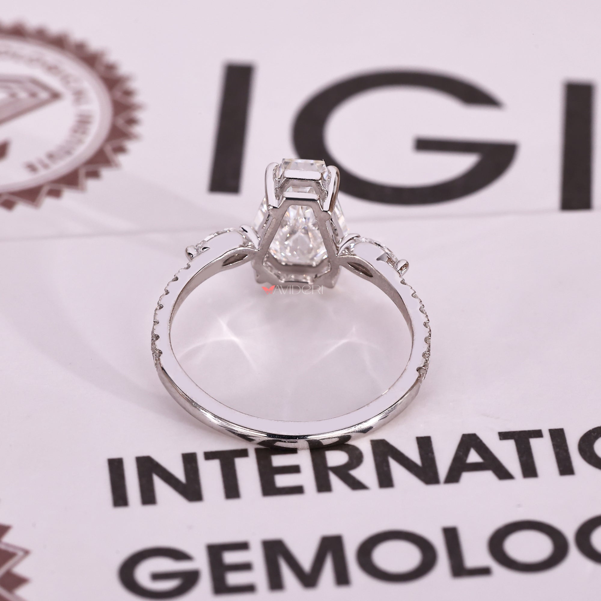 Coffin cut ring with marquise side stones and pave shank.